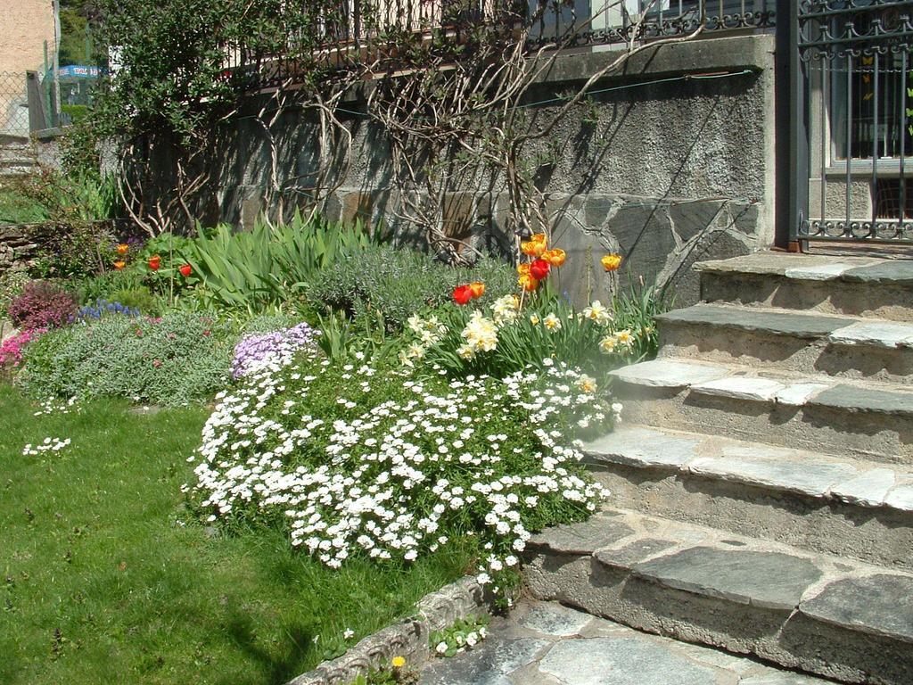 La Ca' Di Sala Bed & Breakfast Margno Exterior photo